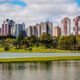 Curitiba ciudad verde